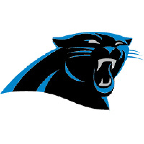 Camisa Carolina Panthers