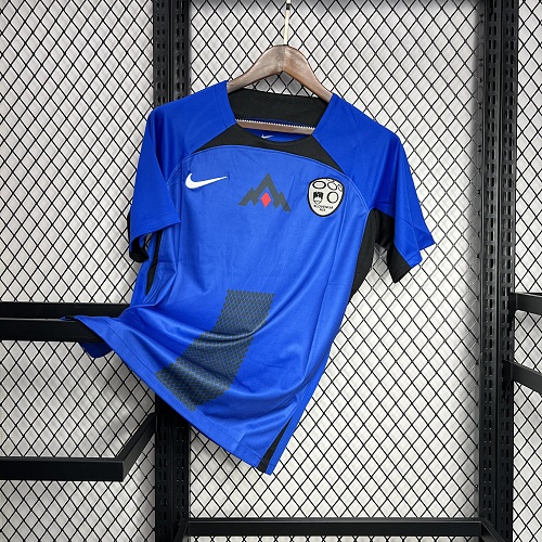 Camisa Slovenia 24/25 Euro Casa