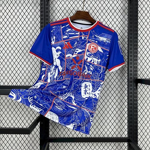 Camisa Fortuna Düsseldorf 24/25 Especial Edition