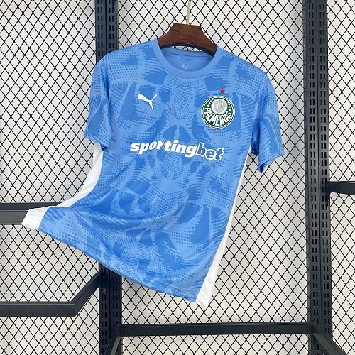 Camisa Palmeiras 25/26 Goleiro
