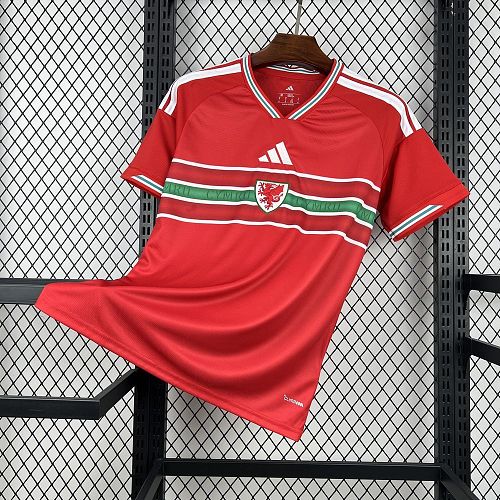 Camisa País de Gales 2026 Copa do Mundo Casa
