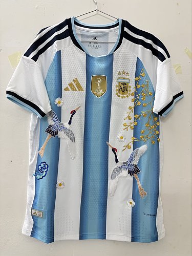 Camisa Argentina 2026 Copa do Mundo Casa Embroidery