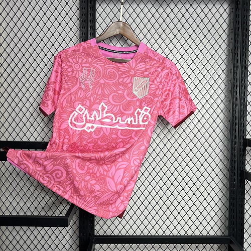 Camisa CD Palestino 23/24 Pink training Pré-Jogo training