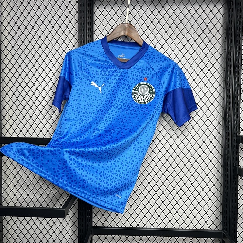 Camisa Palmeiras 24/25 Blue Goleiro