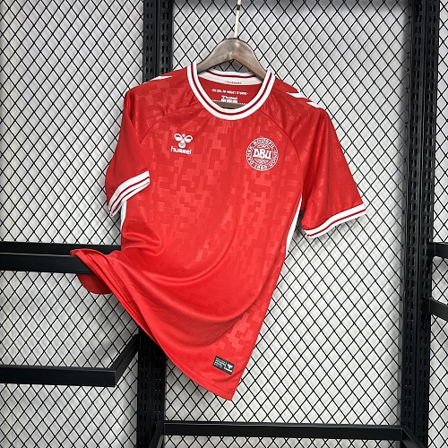 Camisa Dinamarca 24/25 Euro Casa